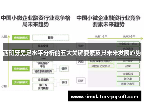 西班牙男足水平分析的五大关键要素及其未来发展趋势 西班牙男足水平分析的五大关键要素及其未来发展趋势